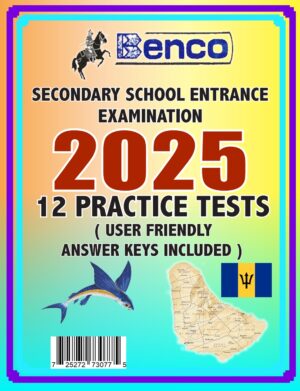 Benco Secondary Exam Papers 2025