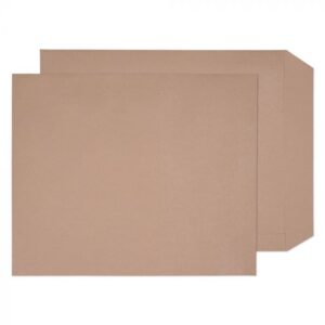 Manilla Envelopes 120 x 295mm (5x12)
