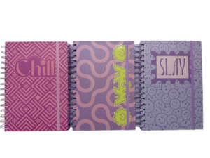 Greatworks GEN Z Spiral Journal 3 Titles Asst. #127-5001