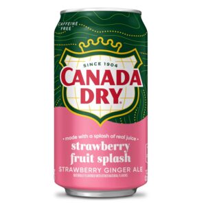 Canada Dry Strawberry Fruit Splash 355ml Can