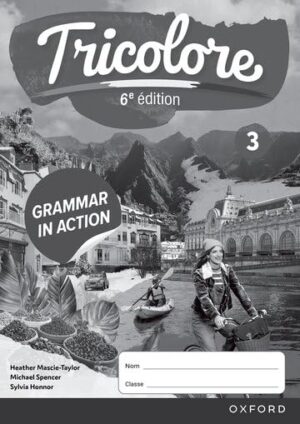 Tricolore 3 Grammar in Action Workbook (6th Edition)