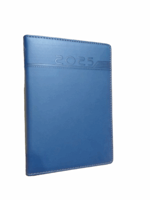 Daily Executive Diaries 2025 - Sale